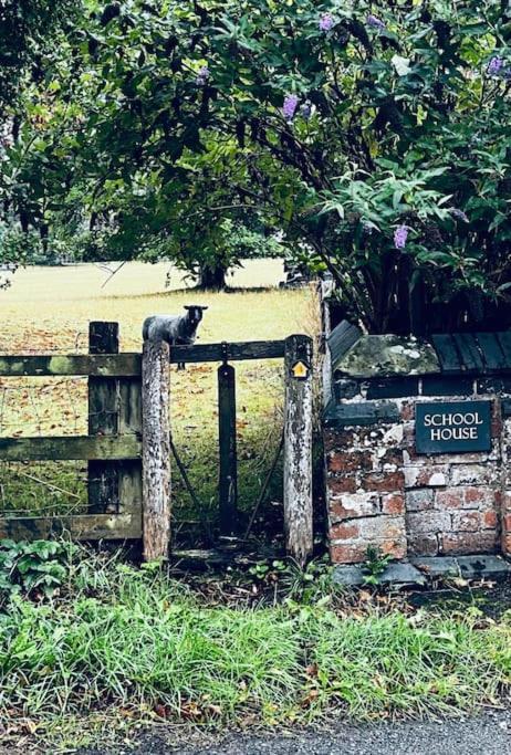 The Old School House Retreat Daire Tibberton  Dış mekan fotoğraf